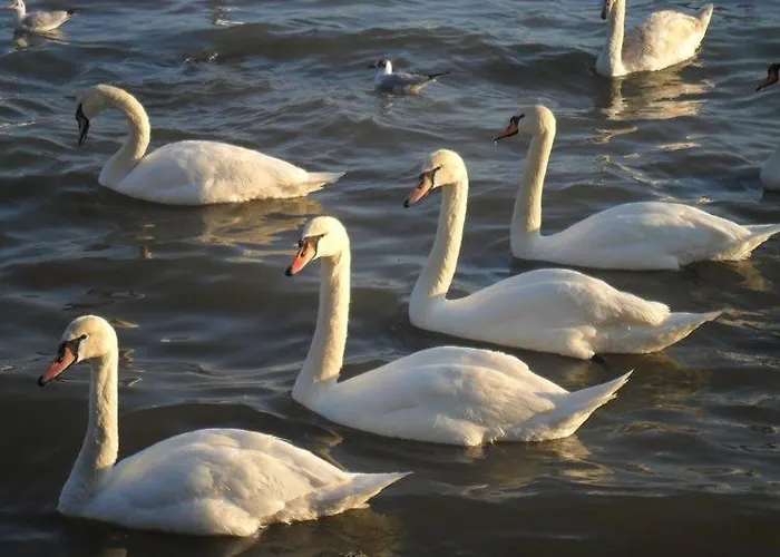 Apartamento My Place 1 Varna