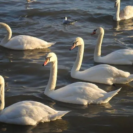 Apartment My Place 1 Varna